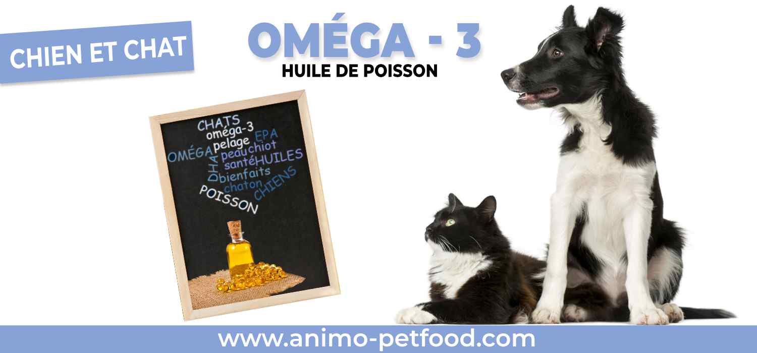 omega-huile-de-poisson-pour-chien-et-chat